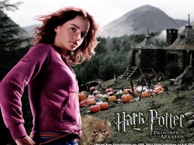 POA-Hermione