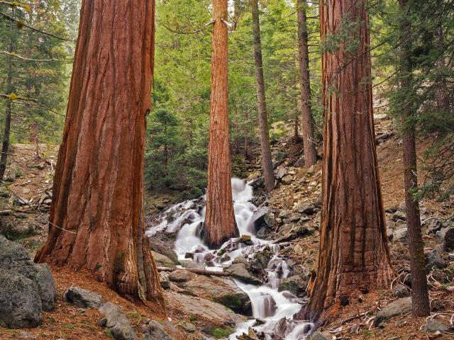 waterfalls_151