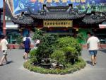 china_243