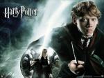 harry_potter052