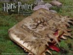 POA-Monster Book