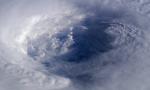 force_of_nature_42