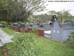 shenzhen_102