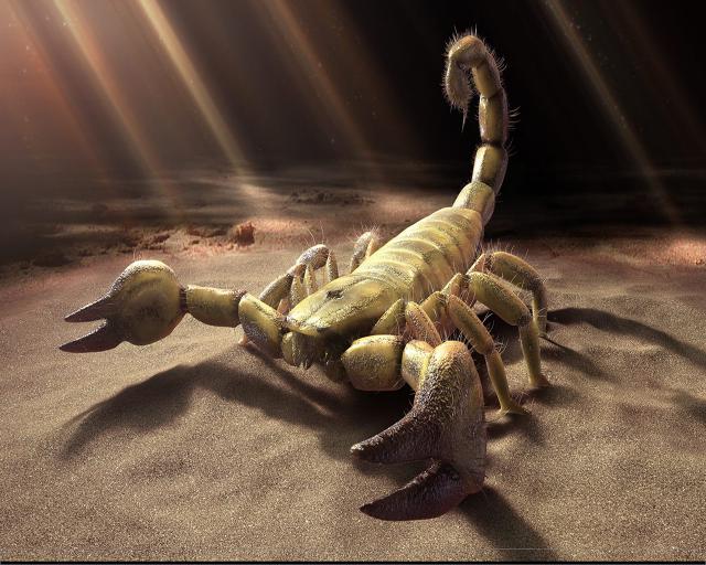 ocean-life-402