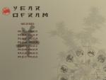 cn_newyear_08