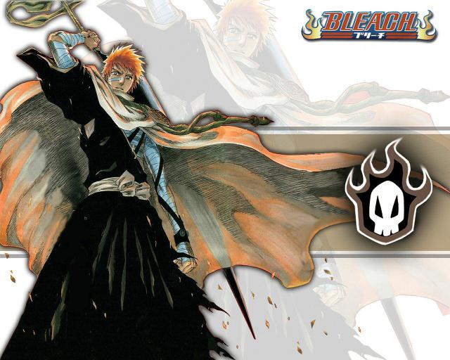 Bleach_570