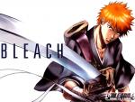 Bleach_571