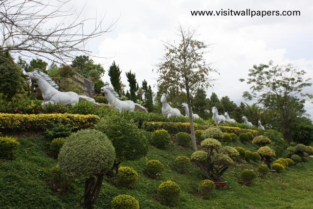 luangta_05