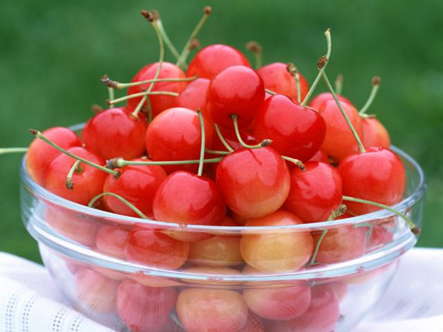 fruit_003