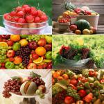 fruit_020