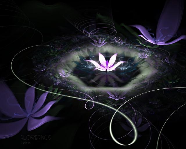 Flowerings_010