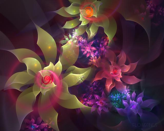 Flowerings_012