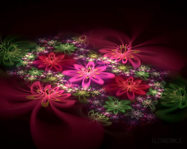 Flowerings_013