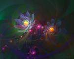 Flowerings_024