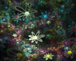 Flowerings_027