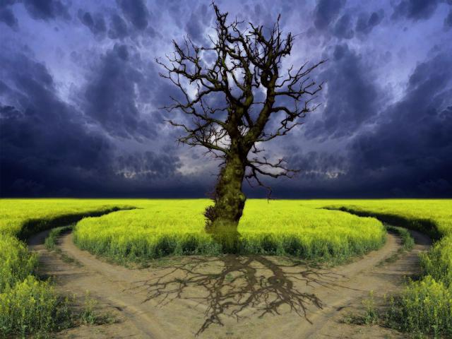 Fantasy_205