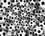 sports_41