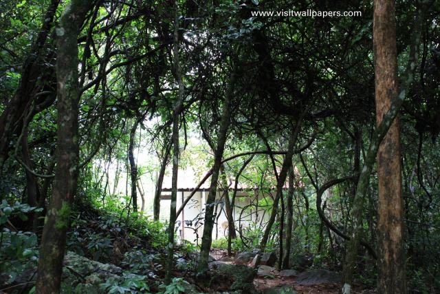 waphukaew_60