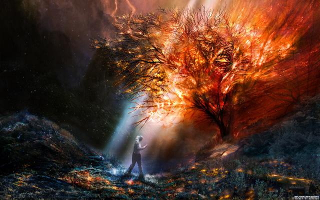 Fantasy_219