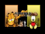 Garfield_44