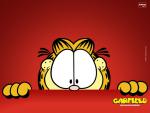 Garfield_45