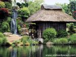 Japan_060