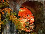 Japan_063