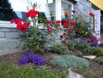 Garden_012