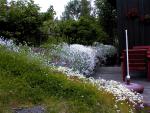 Garden_013