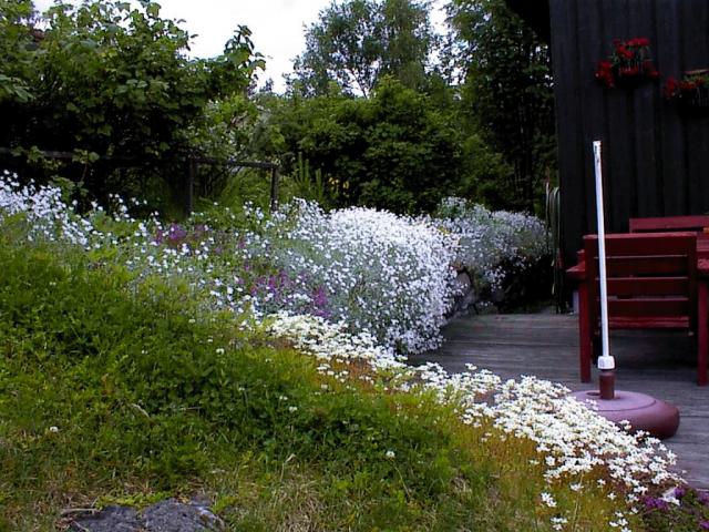 Garden_013