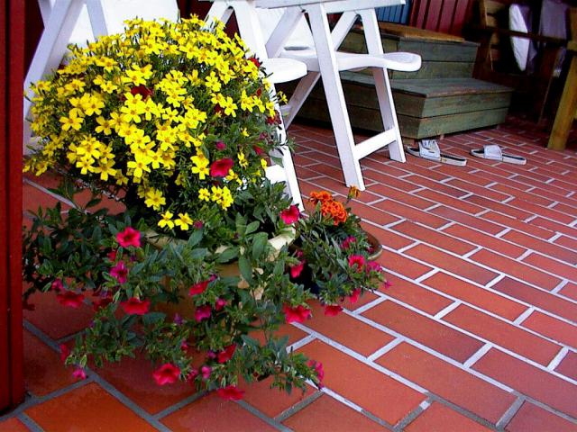 Garden_018