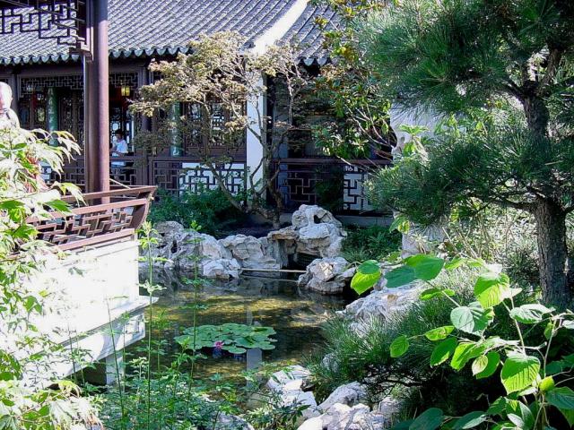 Garden_023