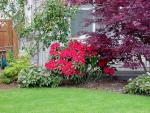 Home_017