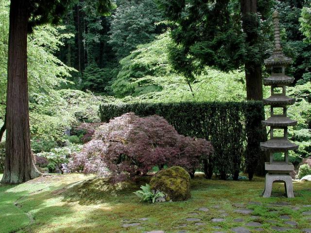 Garden_039