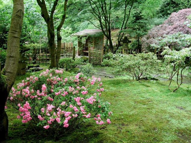 Garden_042