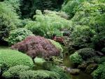 Garden_045