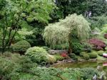 Garden_046