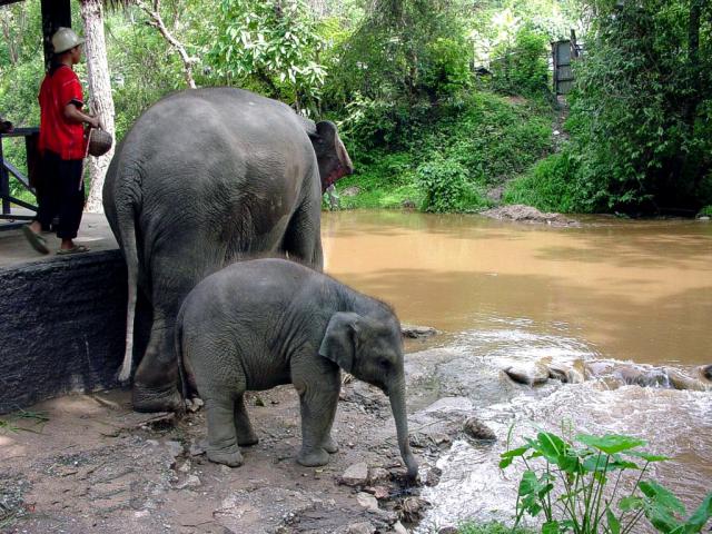 thailand_113