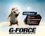 G-Force_Hurley