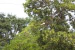 waphukaew09_023