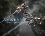 avatar_012