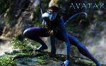 Avatar_1039