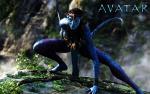 Avatar_1039