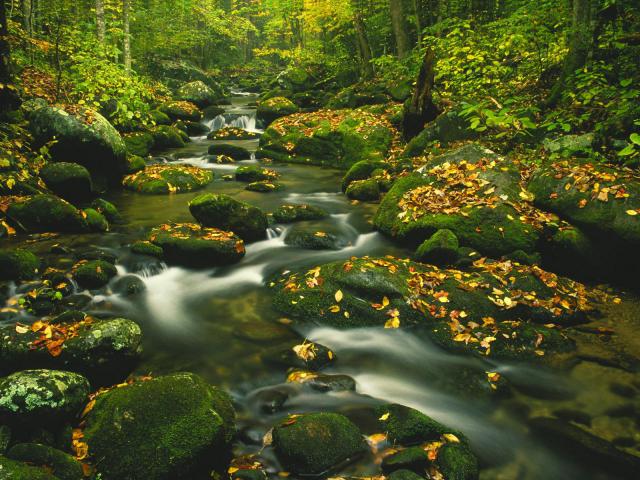 river_098