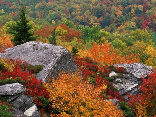 mountains_186