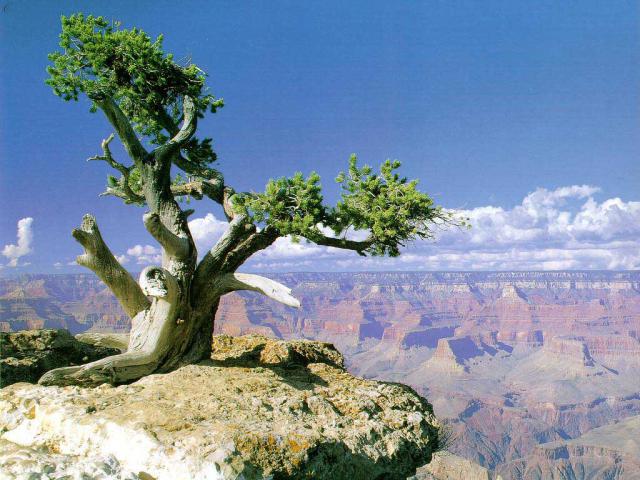 mountains_192