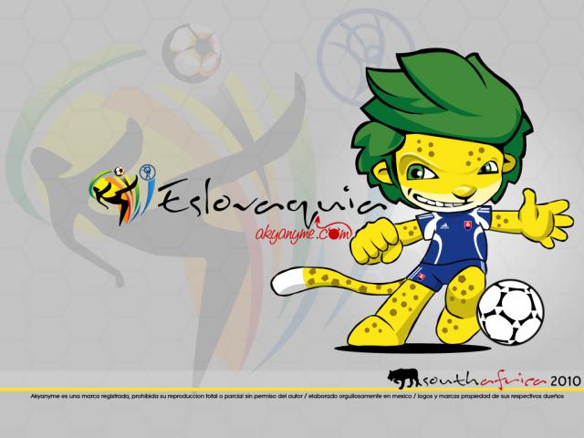 worldcup2010_075