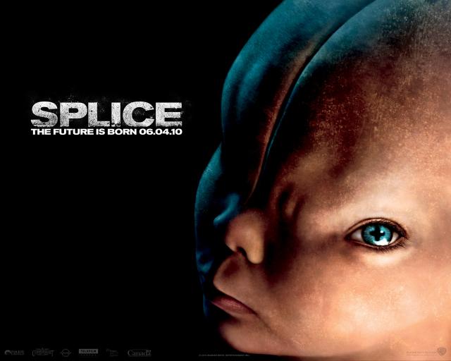 Splice_01
