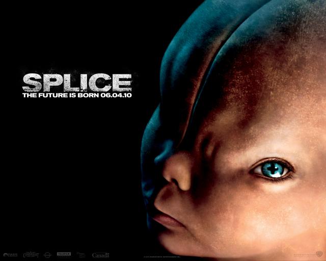 Splice_01
