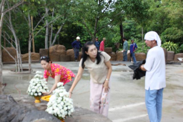 dhamgarden_026